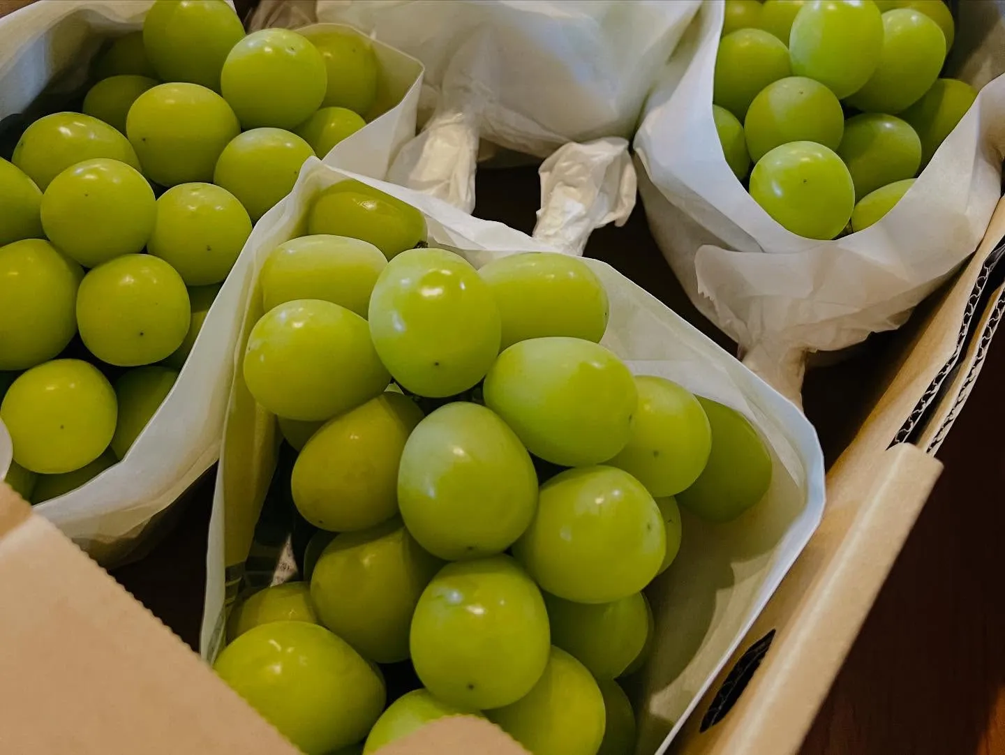 ぴーす、おかげさまで